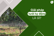 Hệ thống tưới tự động là gì?